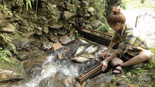 Natural Fishing Techniques | Build A Fish Trap System On A Small Stream - Trap A Lot Of Fish Ep41