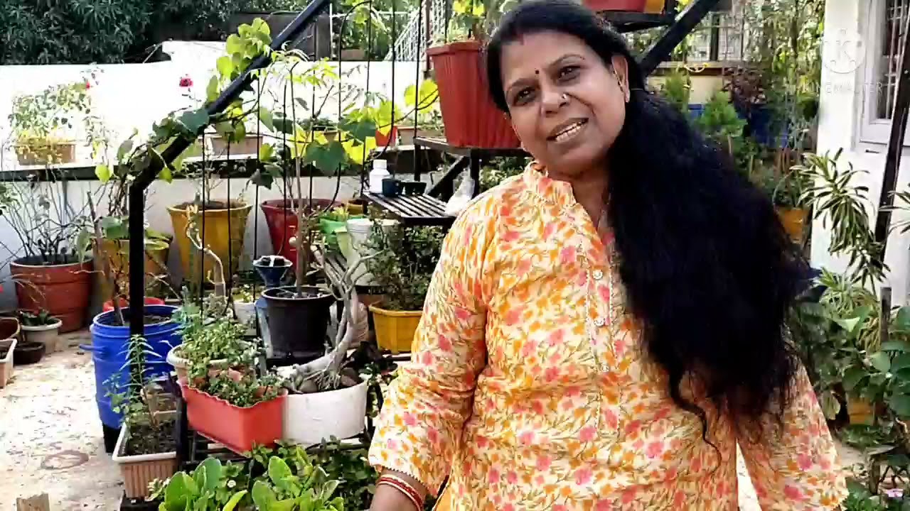 Easy way to grow lemon plant at home.