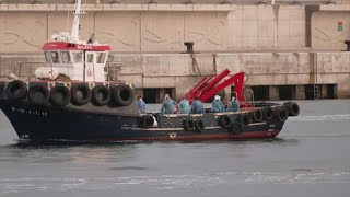 Passengers evacuated from hantavirus-stricken cruise ship