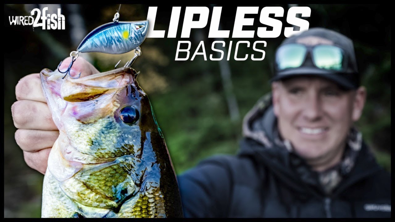 2 Crankbait Strategies for Prespawn Bass - Wired2Fish