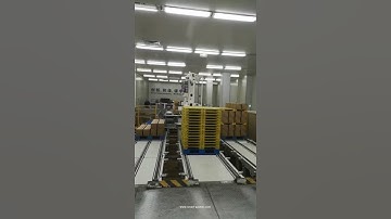 Automatic cake carton box drop type encasing machine with palletizing machine by robot hand