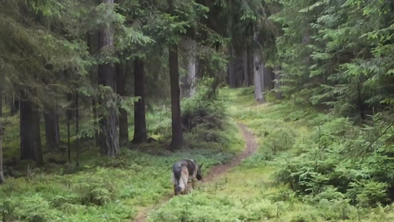 ep271 Hike Marktleuthen Bayern Germany