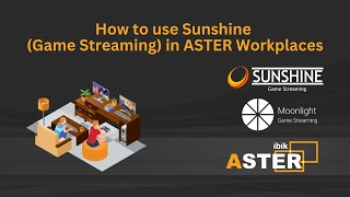 How to use Sunshine (Game Streaming) in ASTER Workplaces screenshot 3