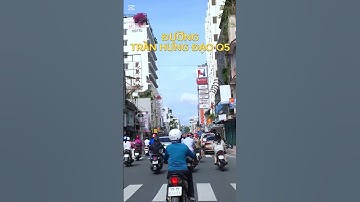 CHỢ CÁ CẢNH LƯU XUÂN TÍN | CHỢ CÁ CẢNH LỚN NHẤT VIỆT NAM | GIÁ BÁN SIÊU RẺ