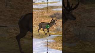 goat hunting for android #sniper #animals #youtubeshorts #shortfeed #viralshort #viralvideo #shorts screenshot 5