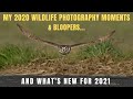 MY YEAR OF WILDLIFE PHOTOGRAPHY MOMENTS & BLOOPERS | HAPPY NEW YEAR FOR 2021