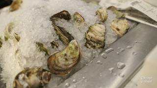 A look at Two Lights Seafood & Oyster