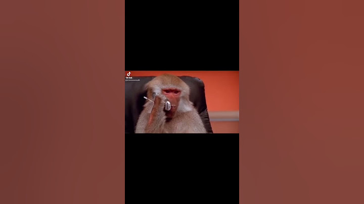 اقوى مضاربه اقوى فزعه  هوشه