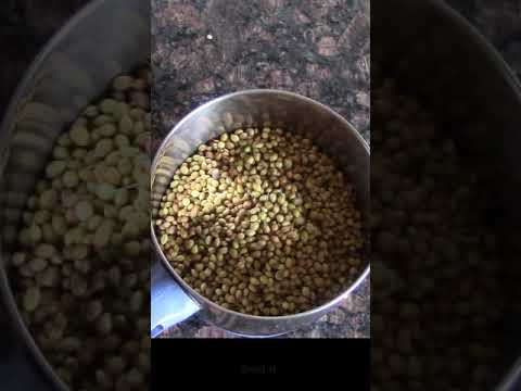 How to make fresh coriander seeds powder at home/Shorts/You tube shorts/Healthically kitchen | Healthically Kitchen