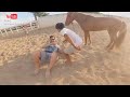 O PÔNEI PULA MUITO 🐎 - VAQUEIRO LEVY - RYAN E RODRIGO  -  NA PISTA DE VAQUEJADA DO PARQUE GUARANI