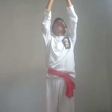 Teknik satria perisai diri (by ilham ramadhan)