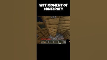 WTF MOMENT OF MINECRAFT | #freky #minecraft #youtube #shorts #funny #wtf #unexpected #viralshorts