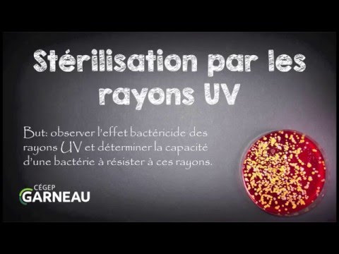 Vidéo: Polycarbonate Protégé Contre Les UV : Transmet-il Les Rayons Ultraviolets ? Qu'est-ce Qui Est Différent De L'habituel ?