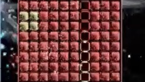 TEAM TETRIS! 8 Line Tetris Clear!