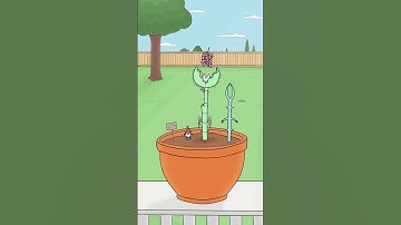 Day 31 of Watering the Mystery Plant | Part 2 🪴