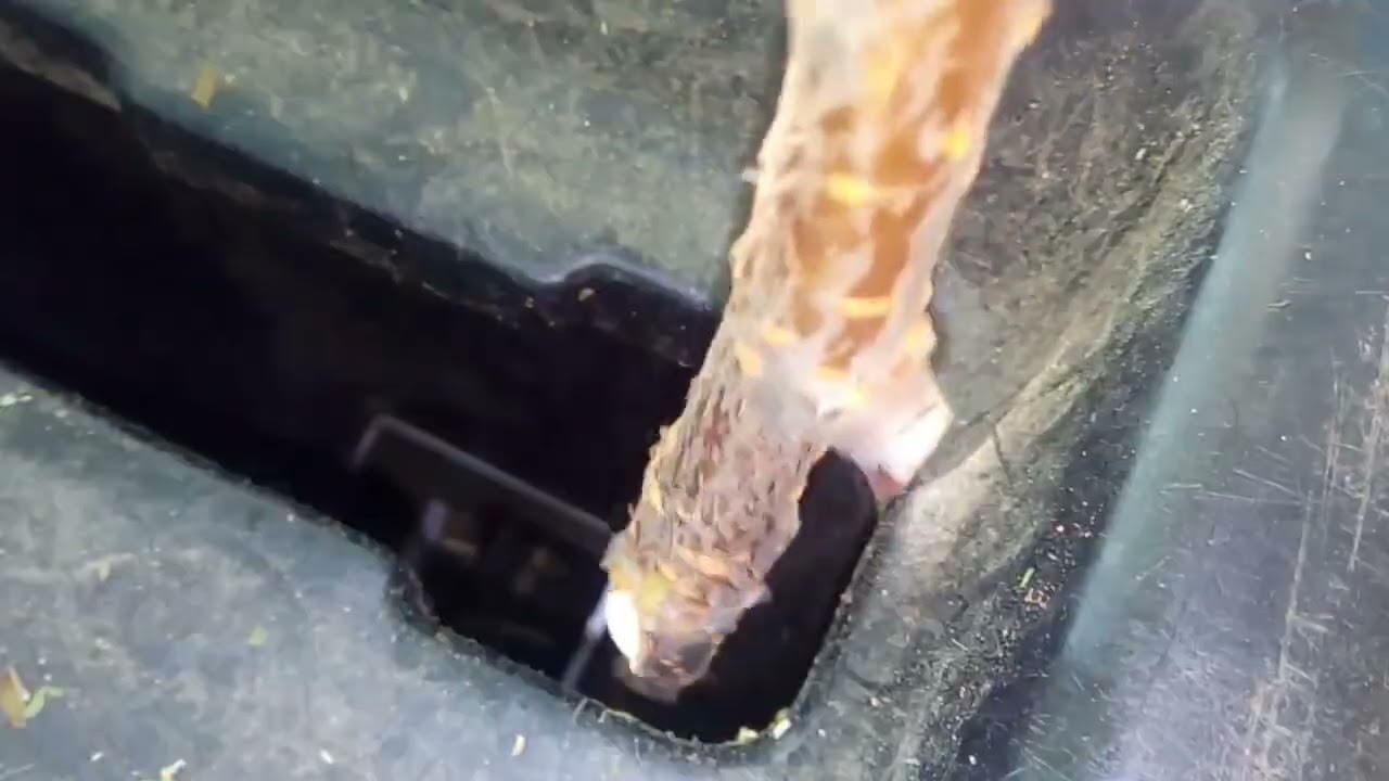 Einhell 3430330 Electric Shredder GC-KS 2540