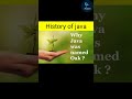 History of java part-1 l java history l java basics