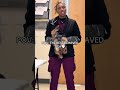 Funny yorkie #foryou #funny #usa🇺🇸 #tiktok #dog