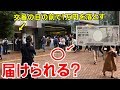 警察の目の前でお金を落としたらどうなるのか？