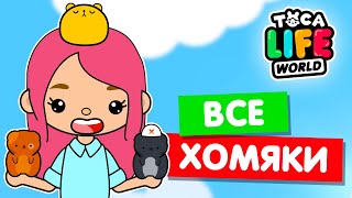 СОБИРАЮ Бока  Toca Life world, всех хомяков в тока.