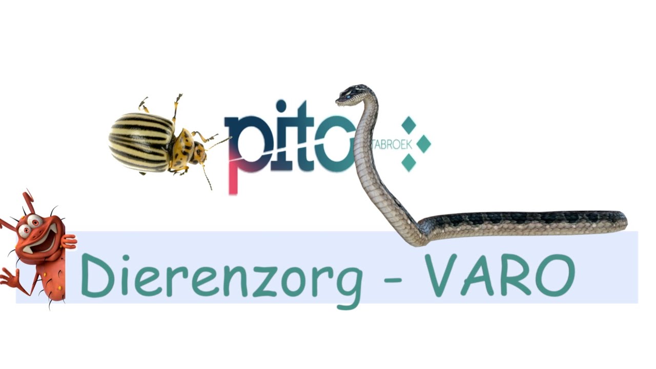 PITO Stabroek - Dierenzorg: VARO