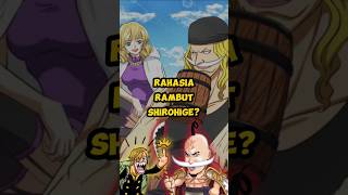 Keunikan Rambut Shirohige onepiece anime shirohige whitebeard luffy strawhats fyp shorts