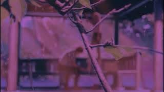 Mabel Matiz - Öyle Kolaysa (Slowed   Reverb)