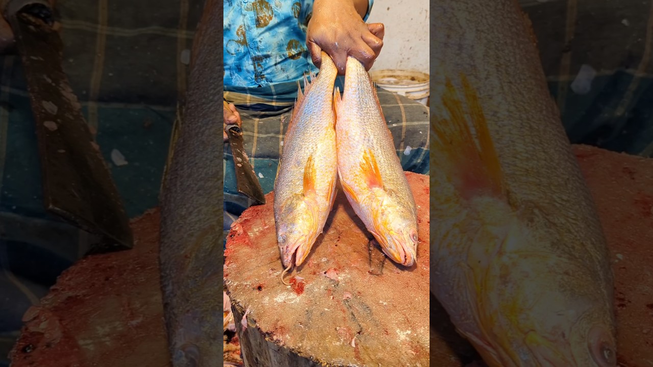 Street Style Poha Cutting | Amazing Fish Cutting Process 