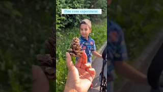 Pine Cone Experiment #scienceforkids #scienceexperiment #stemeducation #stemlearning #homelearning