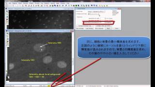 MetaMorph　Count Nucleiについて