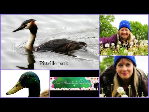 Pittville park-The quest