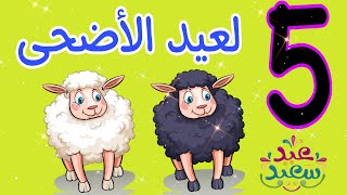 5 افكار جديده لعيد الاضحى 2023   Eid decoration ideas