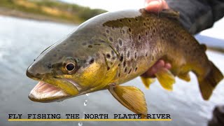 Fly Fishing the Famous Miracle Mile in Wyoming