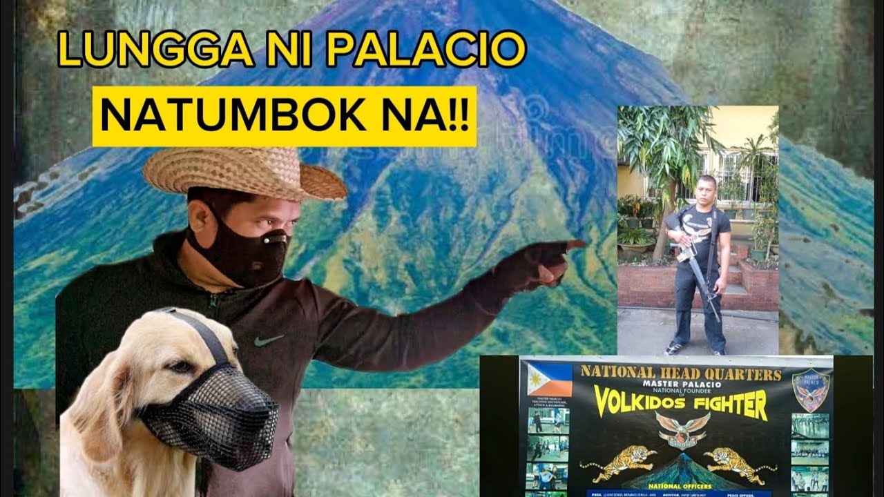 lungga-ni-labrador-o-palacio-tukoy-na-youtube