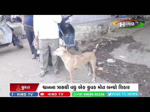 શ્વાનના ત્રાસથી વધુ એકનું મોત.