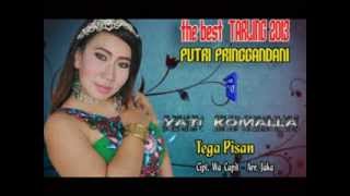 TEGA PISAN