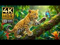 Epic 4K Wildlife World | HDR & 120fps Dolby Vision for a True Cinematic Journey