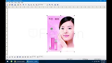 FLEXTRON | How to install UltraPrint on Win10