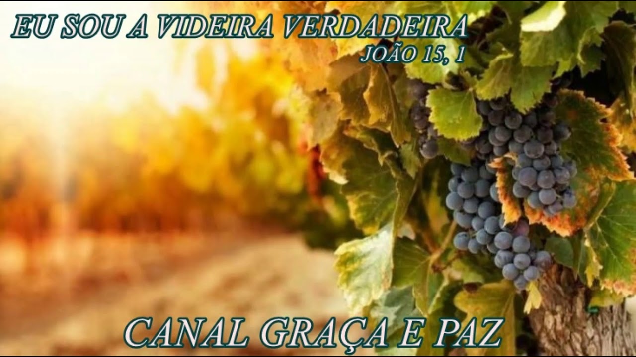 EU SOU A VIDEIRA VERDADEIRA - JOÃO 15, 1-8 / CANAL GRAÇA E PAZ - YouTube