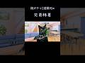 父親2号とのクリスマスが悲しすぎるw　#猫ミーム #猫ミーム日常 #親ガチャ#shorts