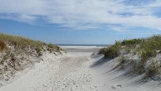 The Dunes of Brigantine (Christine DeLeon Cover)