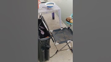 Ghế Câu Đài Tự Chế #cauca #diy #ghecâu #caucaphi #tucheghecau