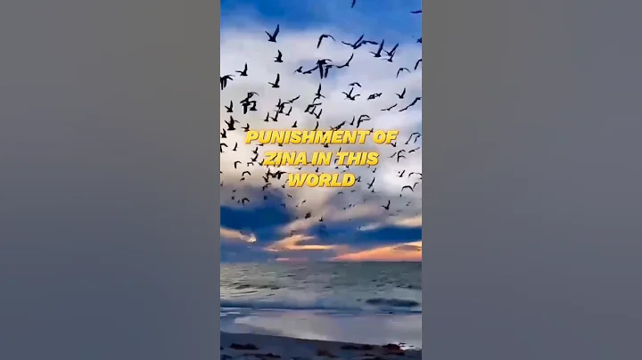 Punishment of Zina in This World  #islam #islamic #wayofsuccess