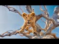 BEREHAM Lions Main Phasa Yeah SHER ( The Lion King 2019 Movie Explained in Hindi/Urdu | Movie Story