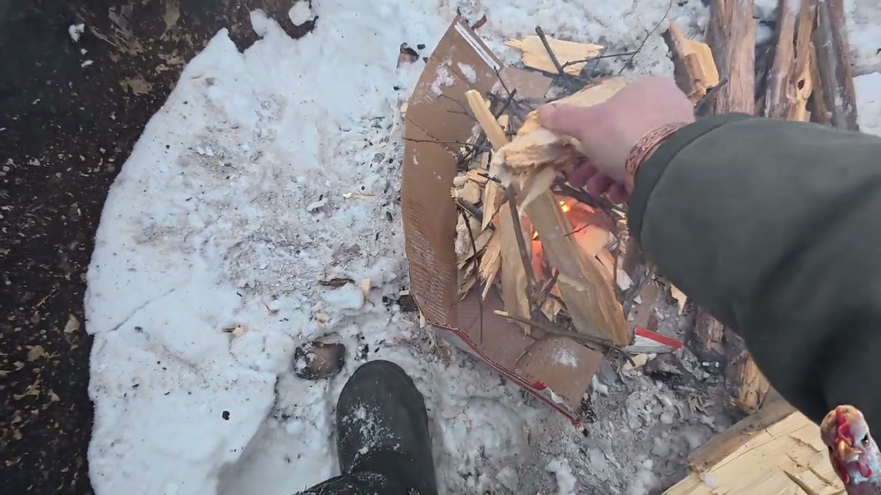 Easy Bushcraft Fire Build: From Shavings to Flames with a Coconut Coir Starter!