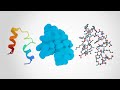 Understanding Protein Functions and Structures