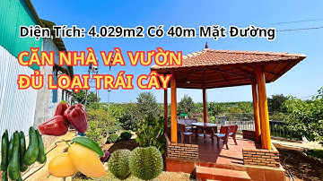 🔴(369) ĐÃ BÁN Bác Nông Dân Bán Nhà Và Vườn Trái Cây Để Về SG Sống Với Con | Bất Động Sản Bảo Lộc