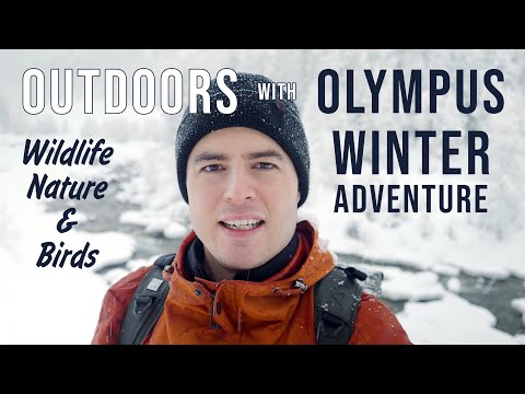 OLYMPUS Winter Adventure - NATURE PHOTOGRAPHY in Harsh Weather