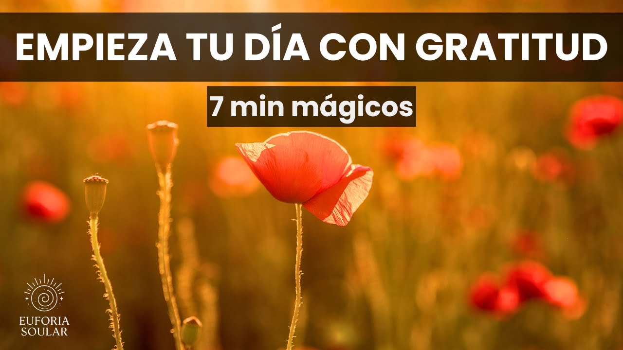 MEDITACIÓN de la GRATITUD | El poder de agradecer - YouTube