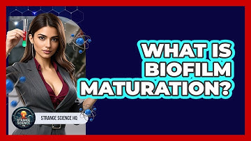 What Is Biofilm Maturation? - Strange Science HQ
